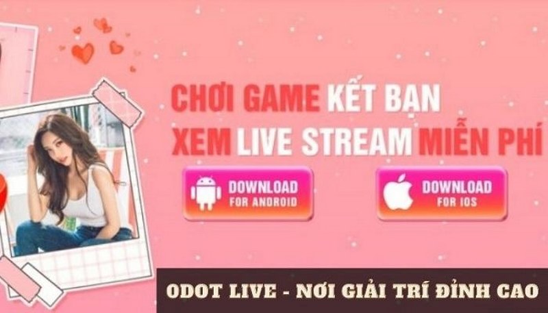 Giải trí cực đã với 0Dotlive live show tài xỉu